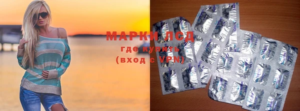 мяу мяу мука Аркадак