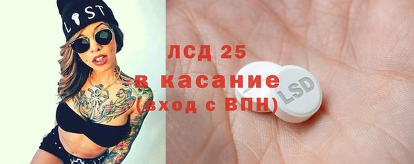 мяу мяу мука Аркадак