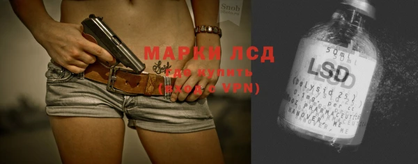 мяу мяу мука Аркадак