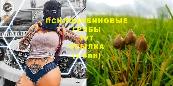 винт Армянск