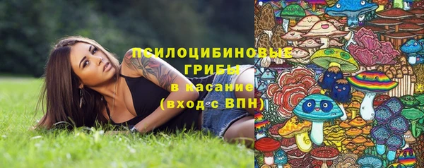 винт Армянск