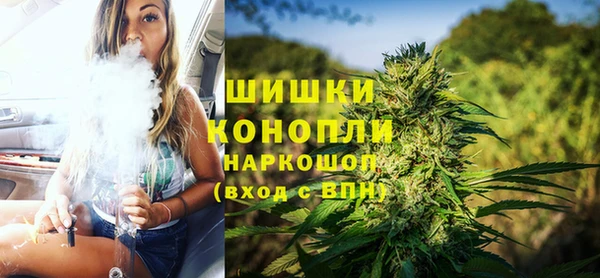 гидра Арсеньев