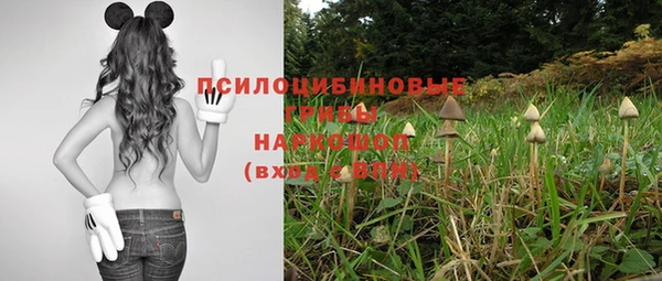 мяу мяу мука Аркадак