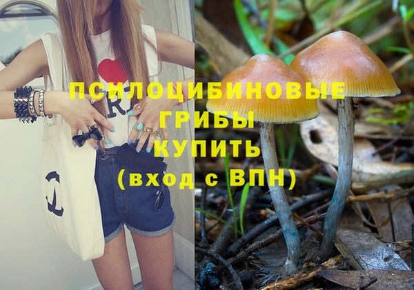 винт Армянск