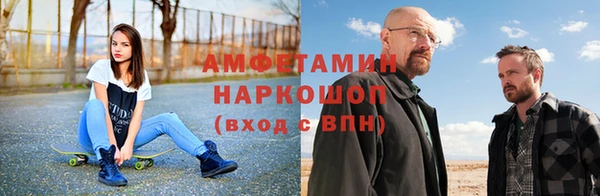 гидра Арсеньев