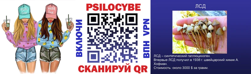 где найти   Узловая  KRAKEN   Псилоцибиновые грибы Magic Shrooms 